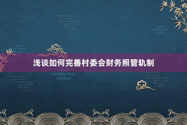 浅谈如何完善村委会财务照管轨制