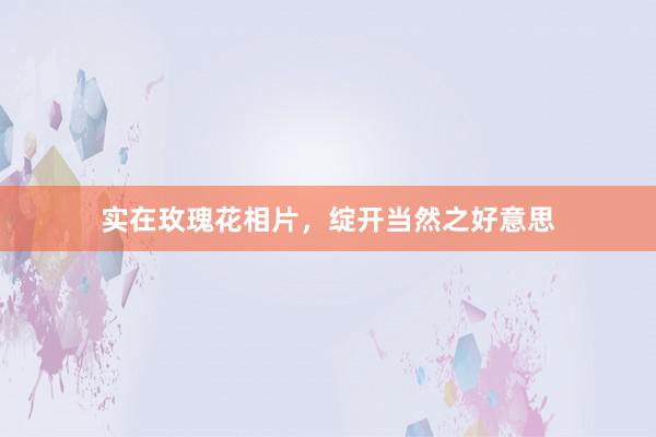 实在玫瑰花相片，绽开当然之好意思