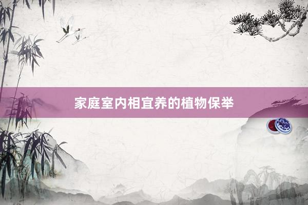 家庭室内相宜养的植物保举