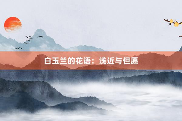 白玉兰的花语：浅近与但愿