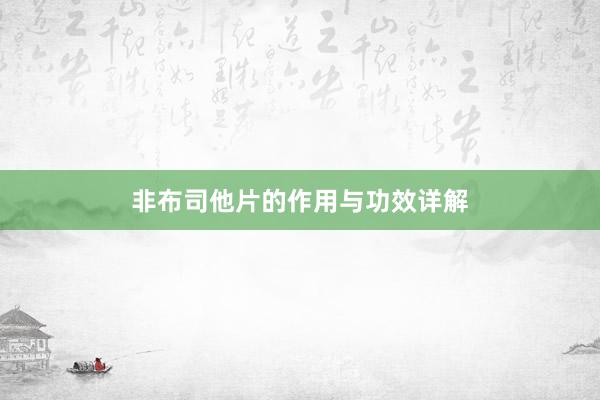 非布司他片的作用与功效详解